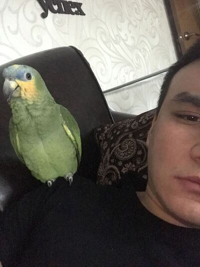  ,   , 30 ,   ,   , 