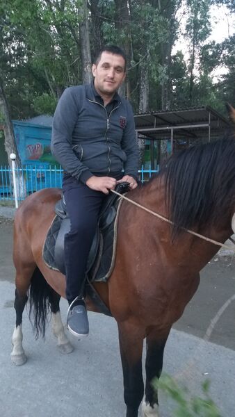  ,   Art, 35 ,   ,   