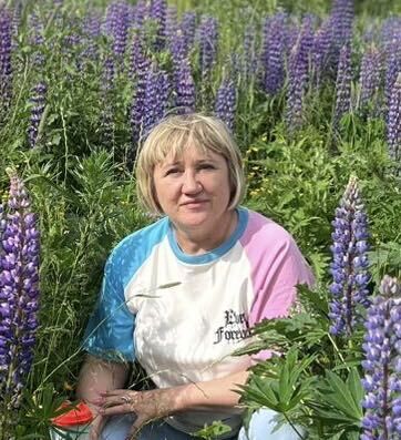  53294580  , 55 ,    -