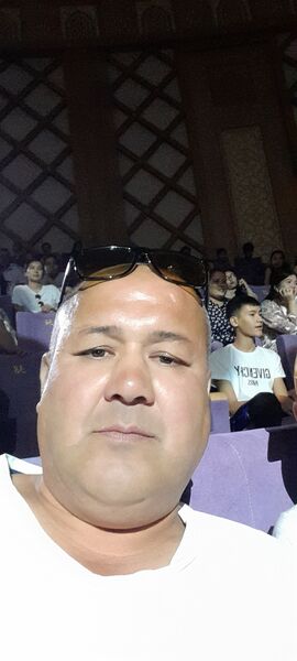 -,   , 40 ,   ,   