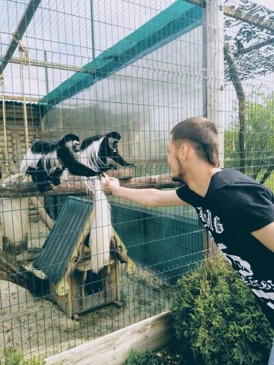   ,   , 31 ,   ,   , c , 