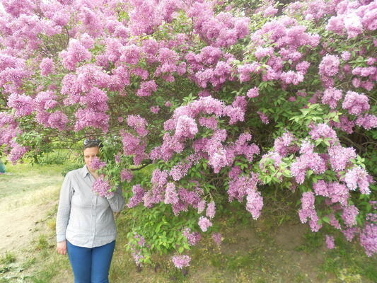  ,   , 40 ,     , c 