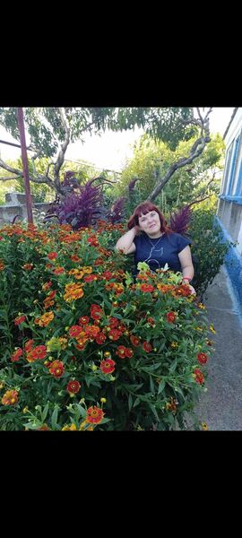  ,   , 32 ,   c 