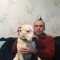  -,   Andrik, 42 ,   ,   , c 