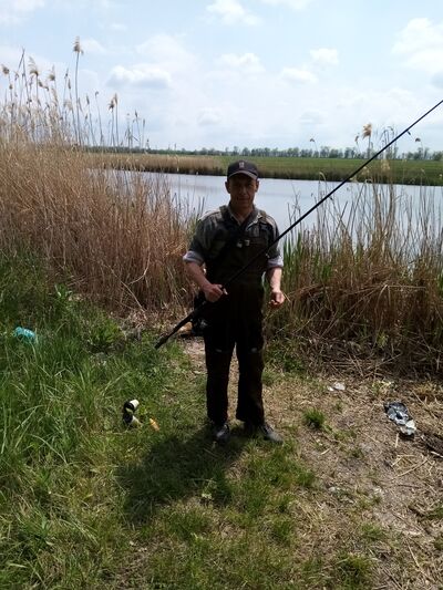  ,   , 48 ,  