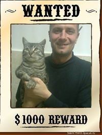 ���������� ������������, ���� ������� Slavik, 50 ���, ������������ ��� ����� � ���������, c�������� ���������