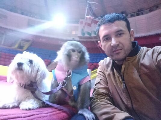  ,   , 40 ,   ,   , c 