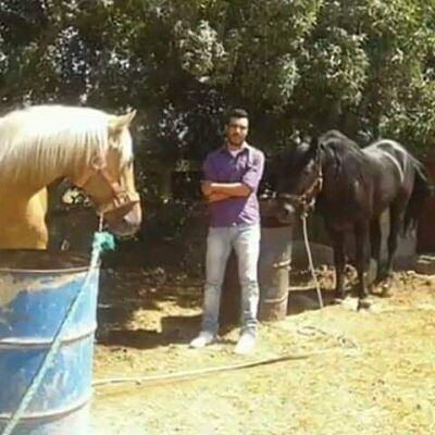  Kenitra-GHARB,   , 37 ,   ,   