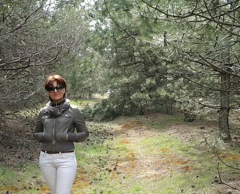  ,   , 53 ,  