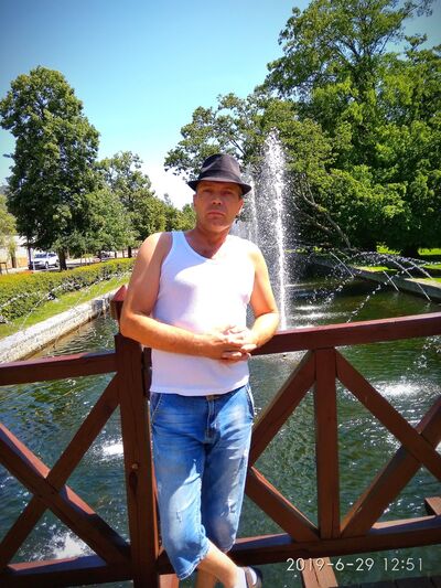   ,   , 51 ,  
