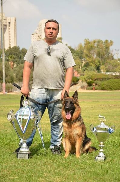  Or Yehuda,   Yan, 53 ,     , c 