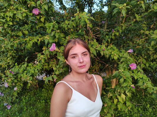  ,   , 24 ,     , c , 