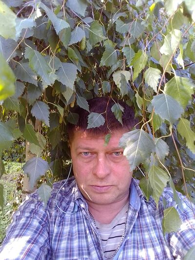  -,   , 50 ,   ,   
