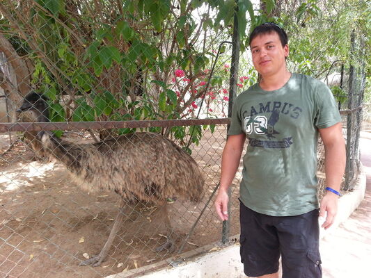  -,   Vasia, 38 ,   ,   , c 