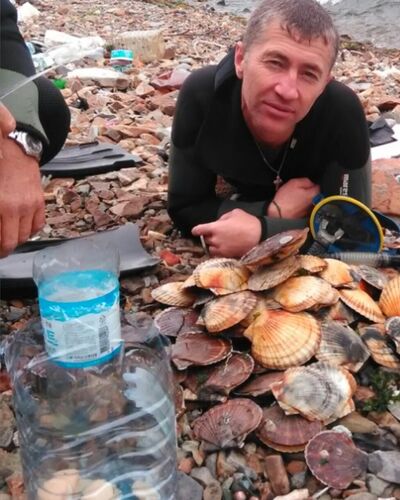  ,   , 50 ,   ,   , c 