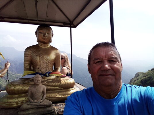  ,   , 65 ,   ,   