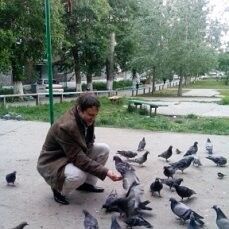  ,   , 46 ,   ,   , c , 