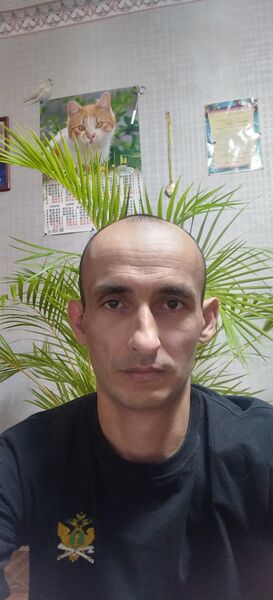  ,   , 38 ,     , c , 