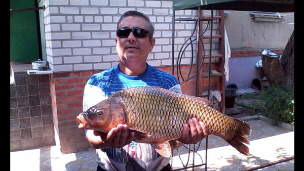  ,   Vitaliy, 58 ,   