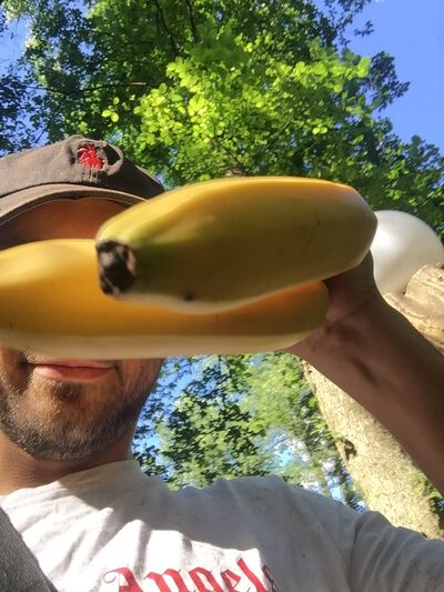 ,   Denis, 31 ,  