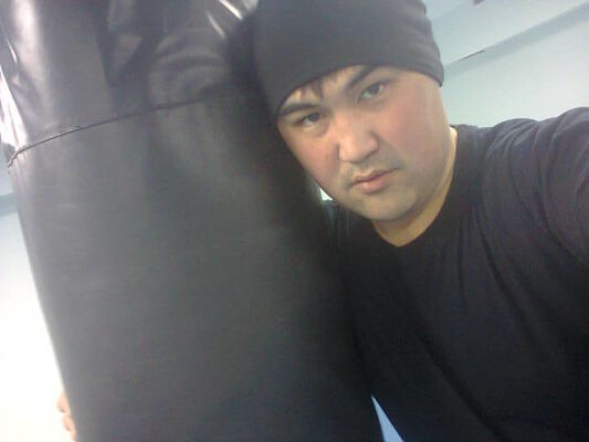  ,   Mustang, 37 ,   ,   , c 