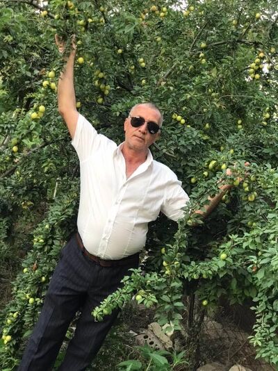  ,   , 58 ,  