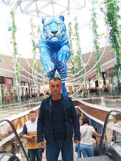  ,   , 36 ,   ,   