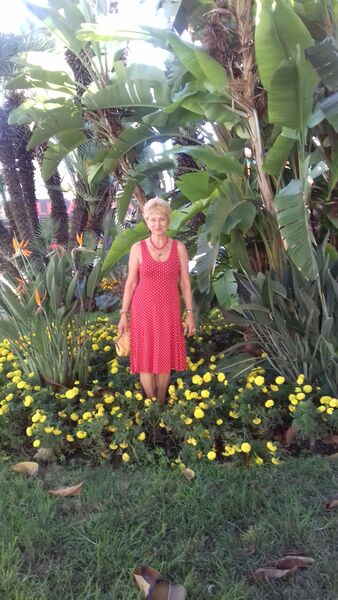  Villar del Arzobispo,   , 67 ,   ,   