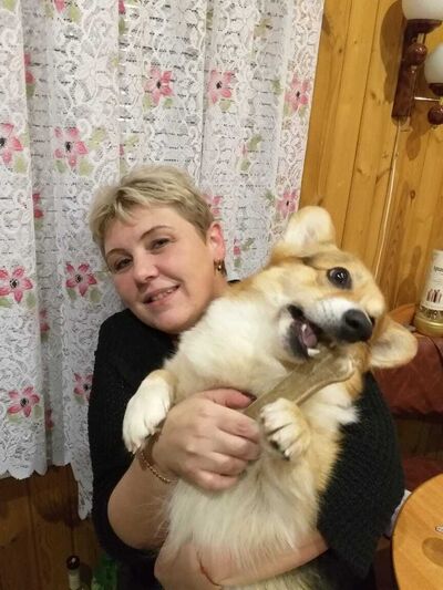   ,   , 51 ,   ,   , c 