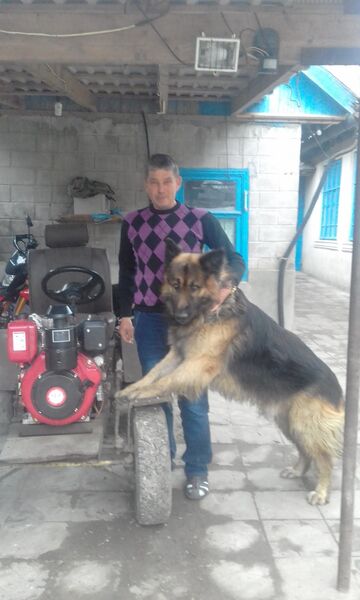  ,   , 61 ,   ,   , c 