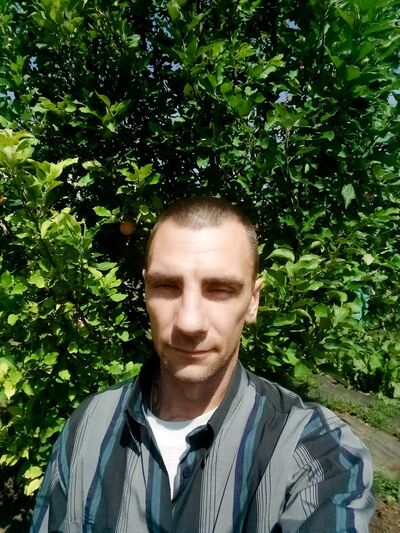  ,   , 41 ,  