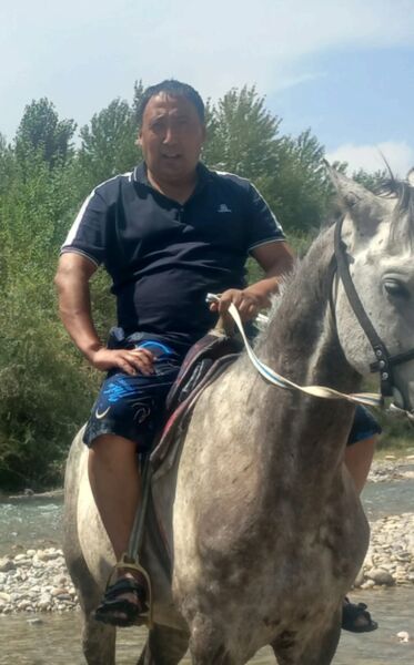  ,   , 50 ,   ,   