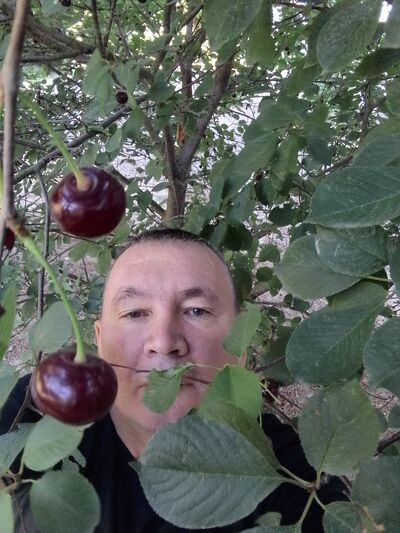   ,   , 47 ,   c , 