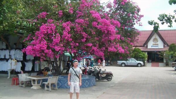  -,   , 43 ,   ,   , c 