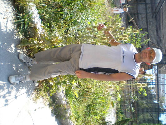  ,   Medvezhonok, 55 ,   ,   , c 