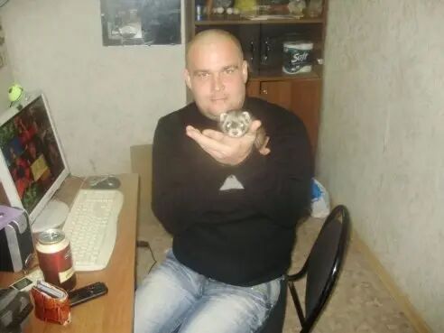  36014270  , 42 ,    