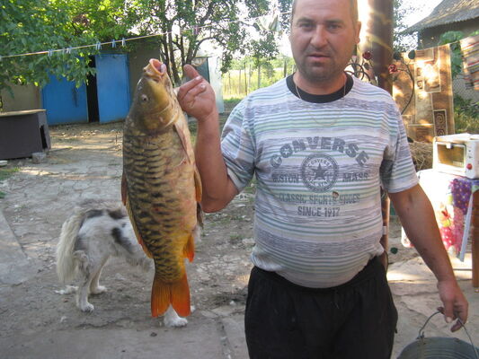  ,   , 49 ,   
