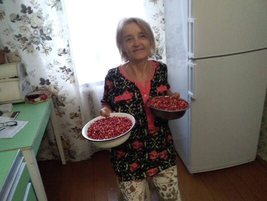  ,   , 68 ,   ,   