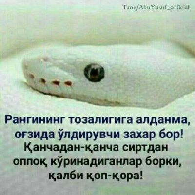  ,   , 44 ,     , c 