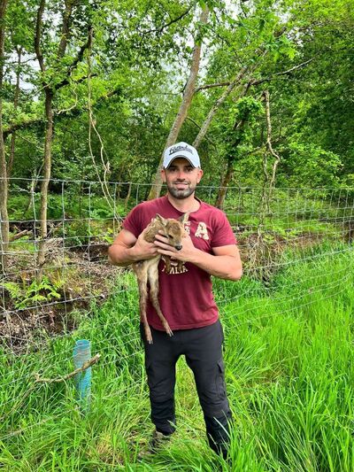  ,   , 35 ,   ,   , c 