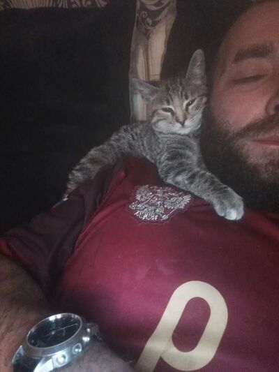  ,   Polo, 36 ,   ,   
