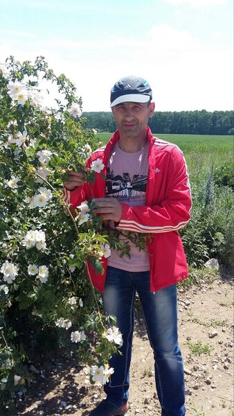  ,   , 44 ,   ,   