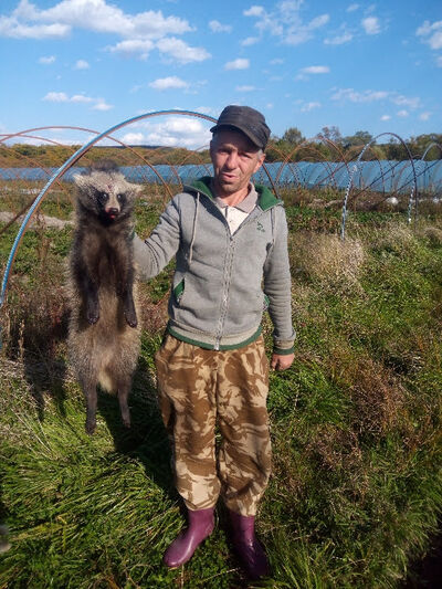  ,   , 44 ,   ,   , c , 