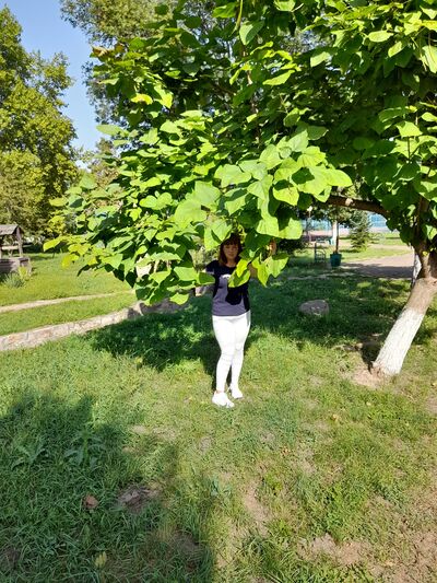 ,   , 41 ,   c 