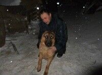  ,   , 38 ,   ,   , c , 