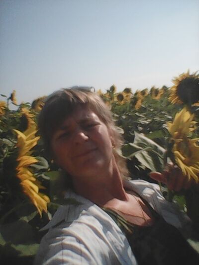  ,   , 53 ,   ,   