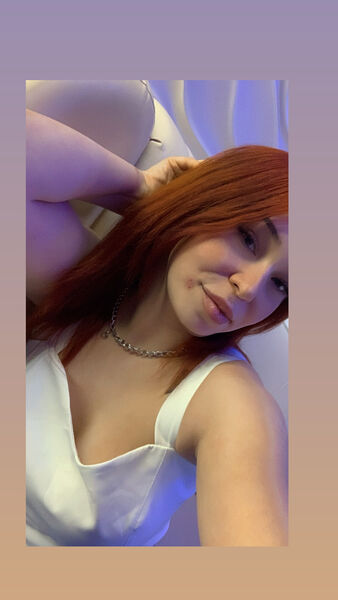  ,   , 24 ,  