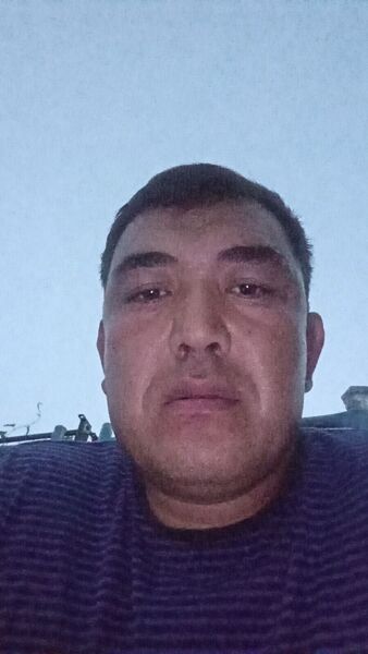  -,   , 38 ,   ,   , c , 