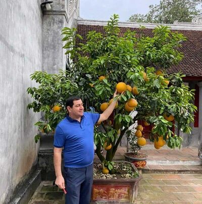  -,   Qabil, 48 ,   ,   