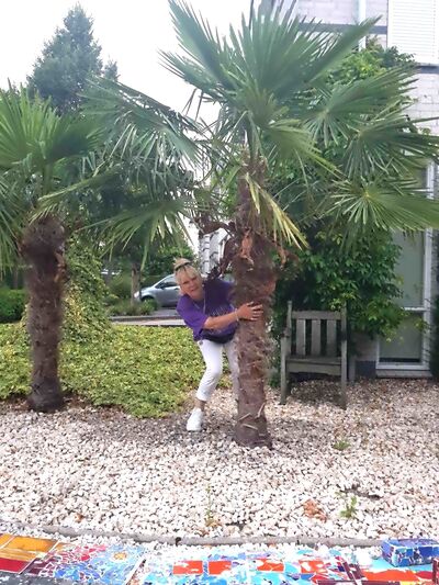  Sittard,   , 53 ,   ,   